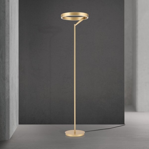 Orion - Lampada da terra dimmerabile KOLK LED/40W/230V 2700/4000K dorata