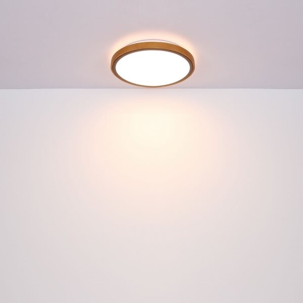 Globo 41764-12 - Plafoniera LED BRUNO LED/12W/230V 307 mm 3000/4500/6000K