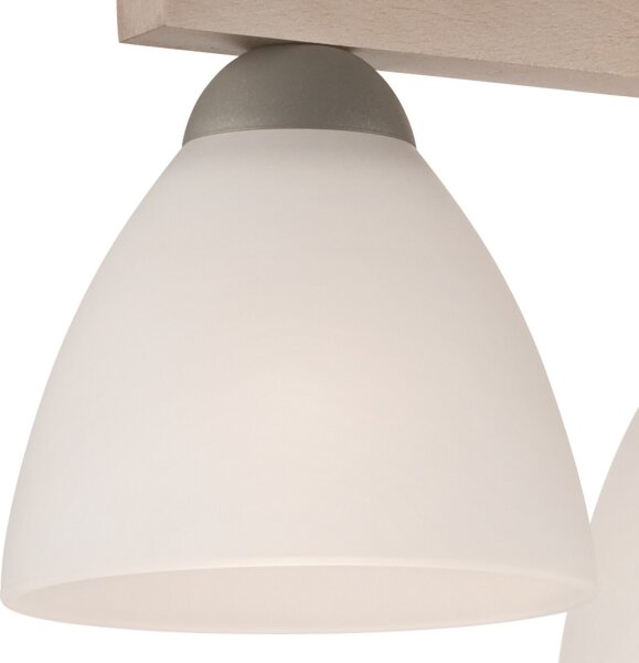 Lampadario ADRIANO 3xE27/60W/230V a plafone