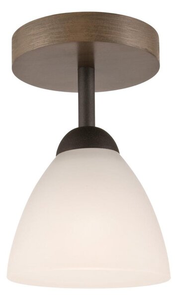 Lampadario a soffitto ADRIANO 1xE27/60W/230V