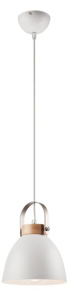 Lampadario a cavo DANIELLE 1xE27/60W/230V