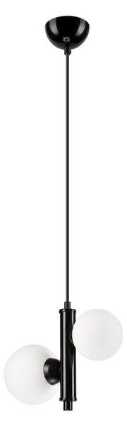 Lampadario a sospensione con filo LARRY 2xG9/15W/230V