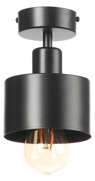 Lampadario a plafone BODO 1xE27/60W/230V