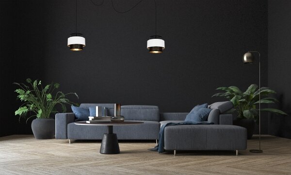 Lampadario a sospensione con filo NESS 2xE27/60W/230V ragno nero/bianco