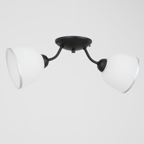 Plafoniera AVIA 2xE27/60W/230V