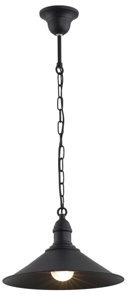 Argon 631 - Lampadario a sospensione con catena ERBA 1xE27/60W/230V