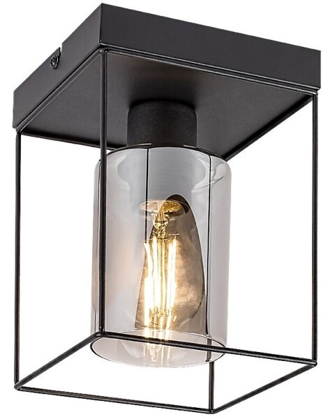 Rabalux 71031 - Plafoniera CHADWICK 1xE27/25W/230V
