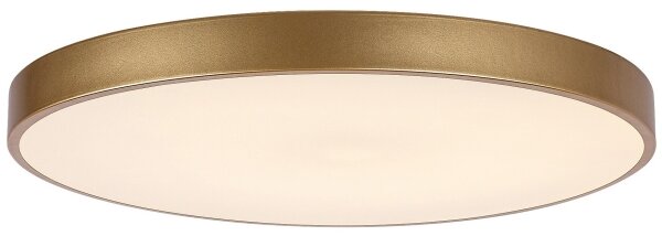 Rabalux 71038 -LED Plafoniera dimmerabile TESIA LED/60W/230V 3000-6000K+telecomando