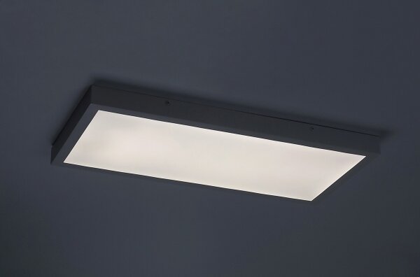 Rabalux 71077 - Pannello a plafone LED DAMEK LED/24W/230V 4000K 60x30 cm