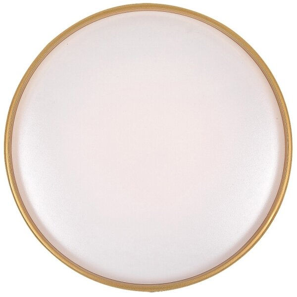 Rabalux 71141 - Plafoniera LED dimmerabile GANDOR LED/24W/230V 3000-6500K