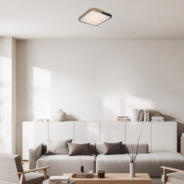 Rabalux 71146 - Plafoniera LED dimmerabile ARILD LED/48W/230V Wi-Fi Tuya