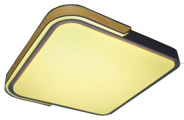 Rabalux 71146 - Plafoniera LED dimmerabile ARILD LED/48W/230V Wi-Fi Tuya