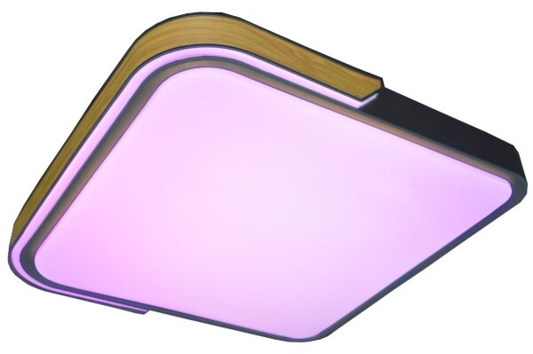 Rabalux 71146 - Plafoniera LED dimmerabile ARILD LED/48W/230V Wi-Fi Tuya