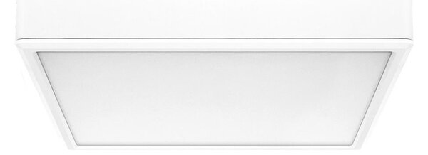 Rabalux 71245 - Plafoniera LED LAURI LED/22W/230V 21x21 cm bianco