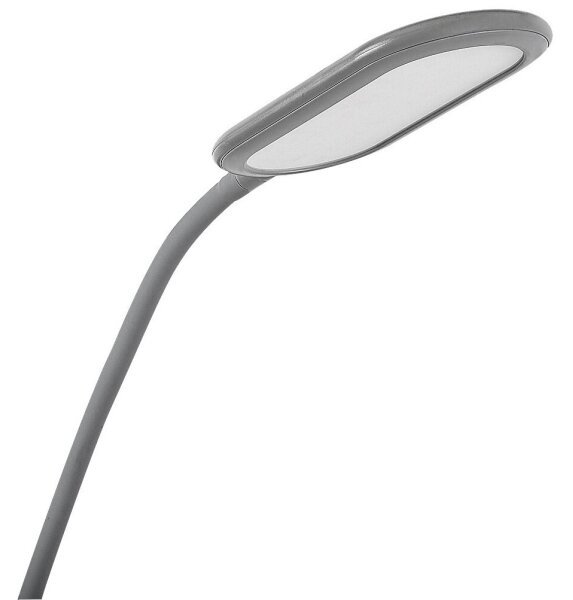 Rabalux 74010 - LED Dimmerabile touch lampada con piedistallo ADELMO LED/10W/230V grigio