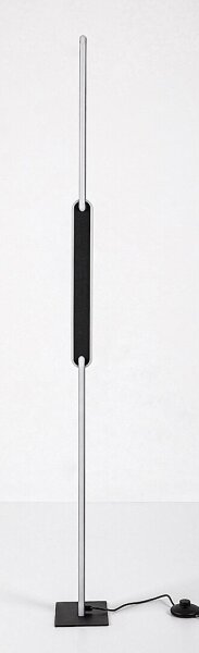 Rabalux 74195 - Lampada da terra dimmerabile a LED SINDRI LED/33W/230V 3000/4000K nero