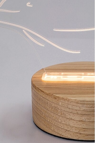 Rabalux 76002 - Lampada da tavolo LED per bambini AKALI LED/2W/5V 3000K dolphin faggio