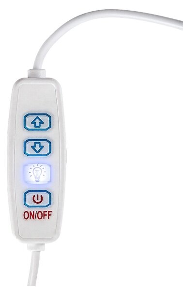 Rabalux 76003 - Lampada da tavolo LED dimmerabile PIRIT LED/1,2W/5V 3000K faggio