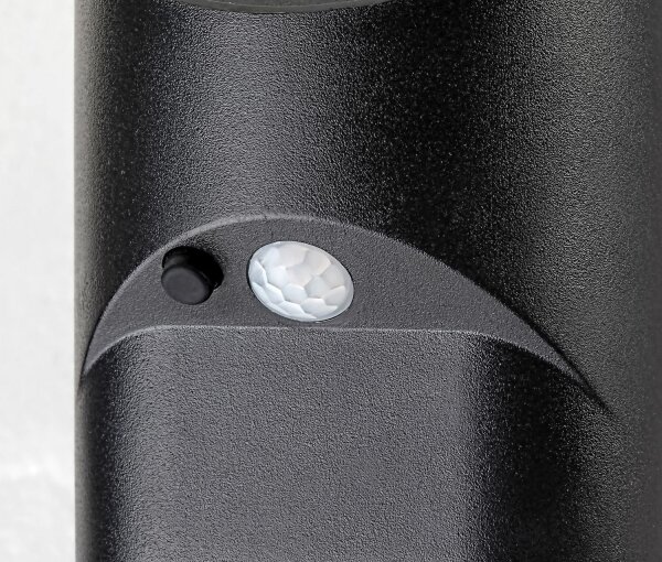 Rabalux 77013 - Luce solare a LED con sensore SEPIK LED/3,6W/3,7V IP44