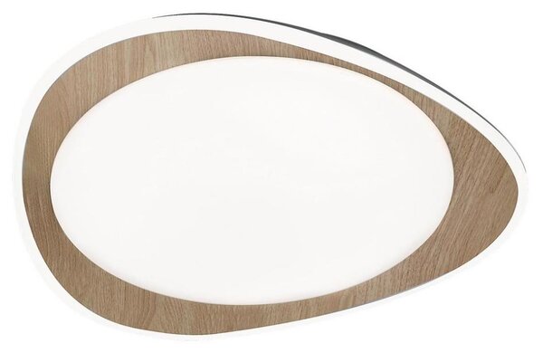 Rabalux 2427 - Plafoniera da soffitto TAMINO LED/24W/230V