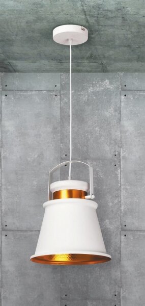 Rabalux 2571 - Lampada a sospensione DUSAN E27/40W