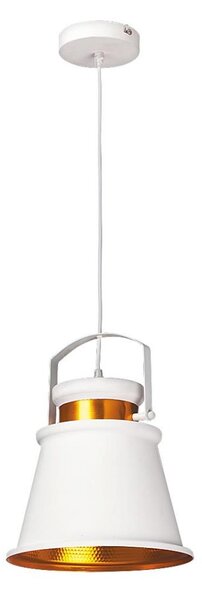 Rabalux 2571 - Lampada a sospensione DUSAN E27/40W