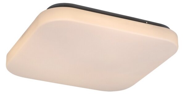 Rabalux 3340 - Plafoniera a LED ROB LED/20W/230V