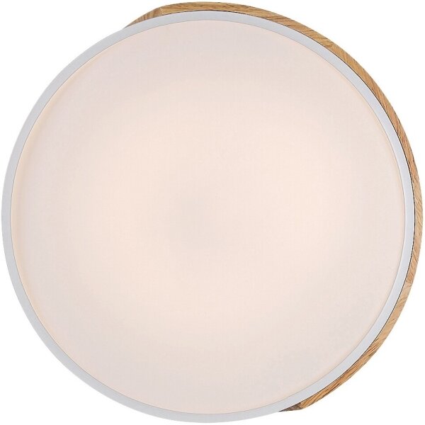 Rabalux 3527 - Plafoniera LED MAPLE LED/24W/230V bianco