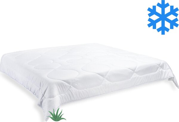 Coperta francese invernale Aloe Vera 220x200cm 1980g
