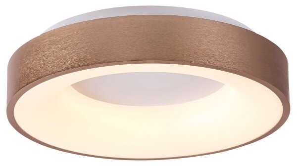Rabalux 5052 - Plafoniera LED CARMELA LED/30W/230V