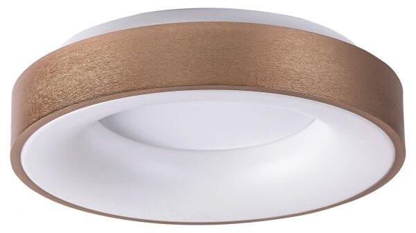 Rabalux 5052 - Plafoniera LED CARMELA LED/30W/230V
