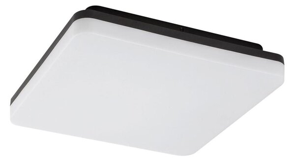 Rabalux 7250 - Plafoniera da bagno a LED PERNIK LED/24W/230V IP54