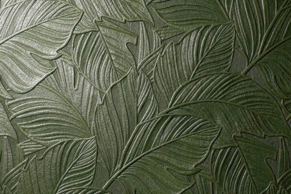 Carta da parati Foglie tropicali in rilievo con delicati dettagli in tonalità di verde intenso, Carta da parati Texture, w09886v1 : Uwalls.it