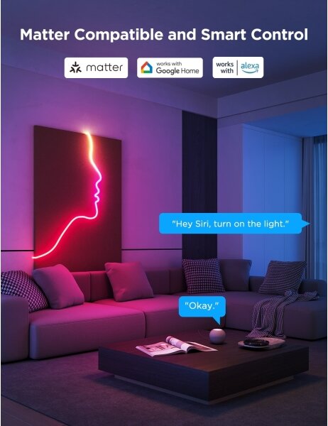 Govee - Neon 2 MATTER pieghevole Striscia LED 5m RGBIC Wi-Fi IP67