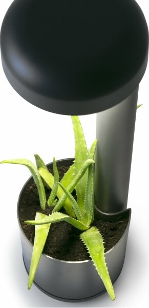 FARO 71206 - Lampada da esterno LED GROW LED/9W/230V IP65