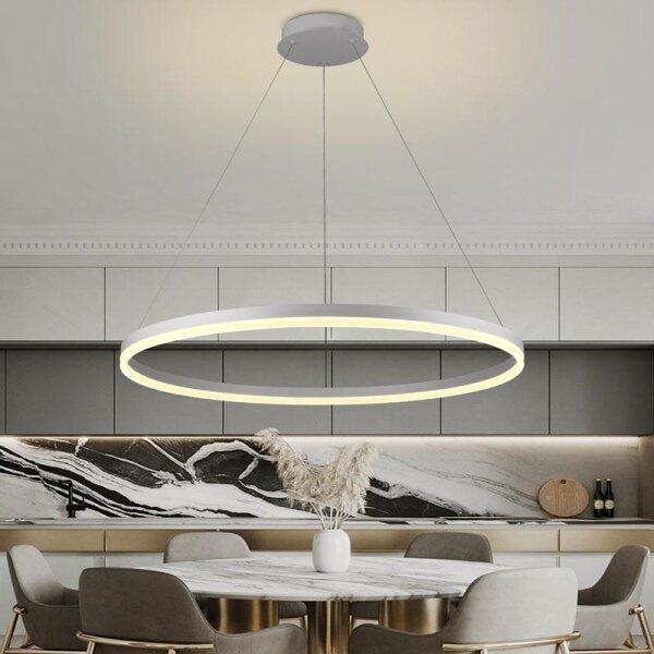 Brilagi - lampadario LED dimmerabile a sospensione con cavo CIRCLE LED/55W/230V 3000-6500K + telecomando