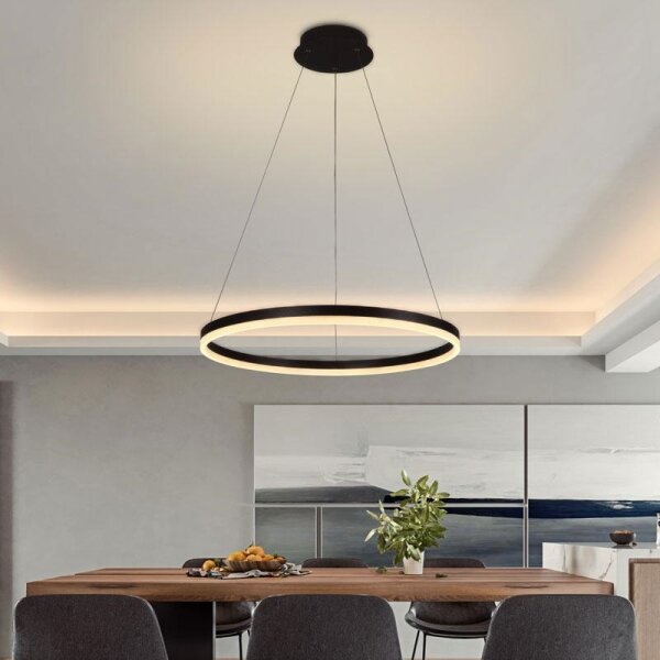 Brilagi - Lampadario LED dimmerabile sospeso su cavo CIRCLE LED/42W/230V 3000-6500K + telecomando