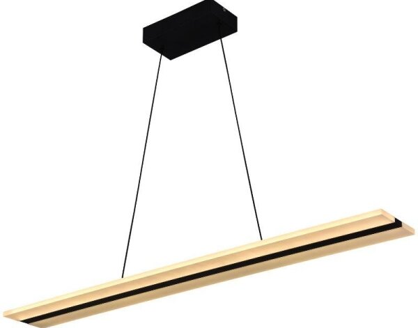 Lampadario a sospensione con filo LED dimmerabile LED/40W/230V 3000-6500K nero + telecomando
