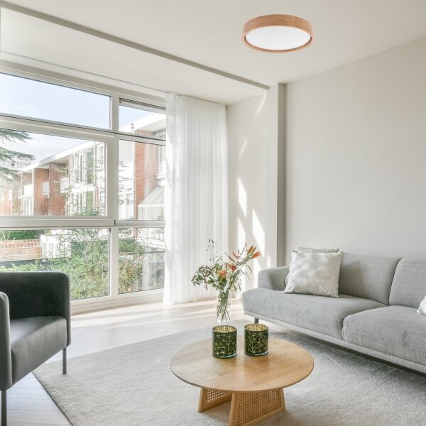 Brilagi - Lampada LED da soffitto MANAROLA SMART LED/24W/230V + DO Tuya