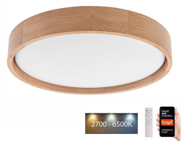 Brilagi - Lampada LED da soffitto MANAROLA SMART LED/24W/230V + DO Tuya