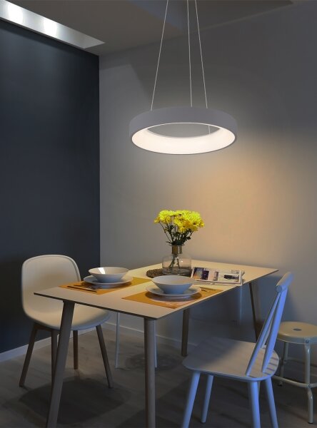 Brilagi - Lampadario LED dimmerabile a sospensione con cavo LED/40W/230V 3000-6500K grigio + telecomando