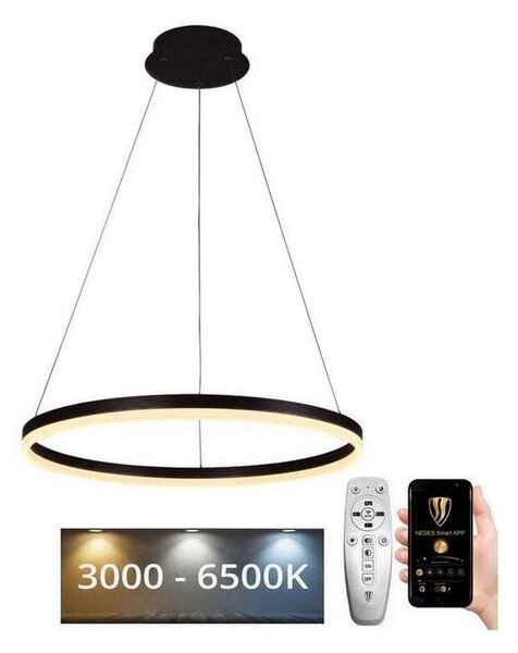 Brilagi - Lampadario LED dimmerabile sospeso su cavo CIRCLE LED/42W/230V 3000-6500K + telecomando