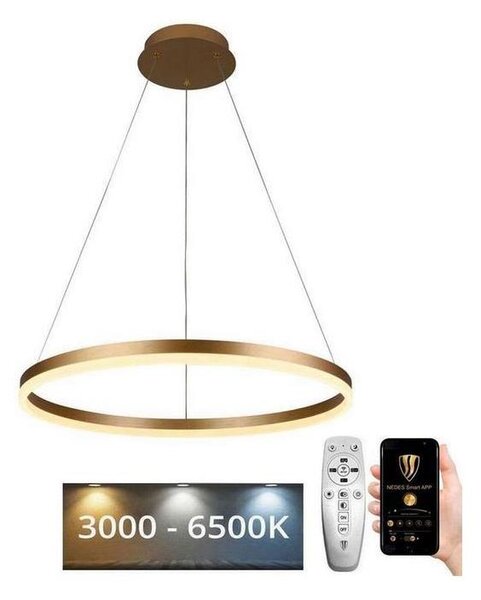 Brilagi - Lampadario LED dimmerabile sospeso a cavo CIRCLE LED/42W/230V 3000-6500K + telecomando