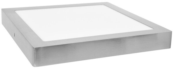 Plafoniera LED RAFA LED/12W/230V 4100K