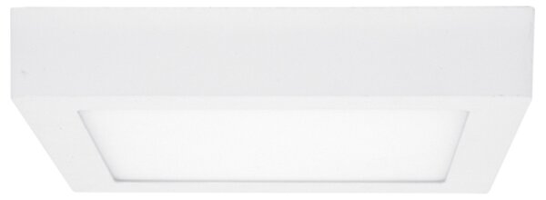 Ecolite LED-CSQ-CCT/12W/BI - Plafoniera LED RAFA 12W/230V bianco