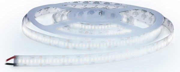 Solight WM612 - Striscia LED LED/80W/12V 5m bianco freddo