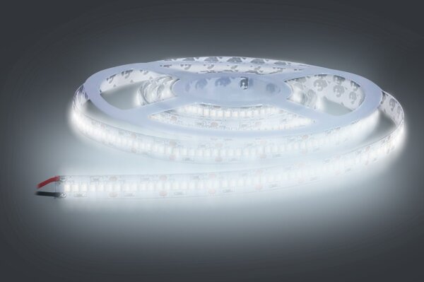 Solight WM612 - Striscia LED LED/80W/12V 5m bianco freddo