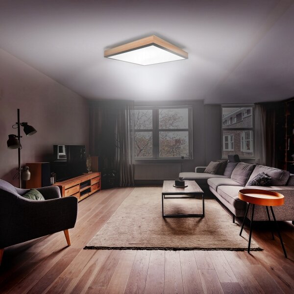 Solight WO802 - Plafoniera LED dimmerabile LED/40W/230V 3000-6500K + tc