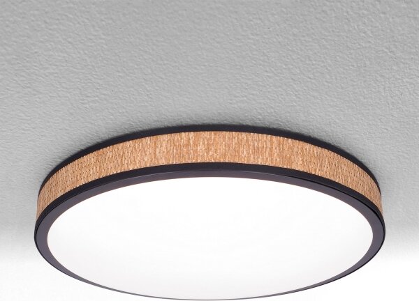 Brilagi - Plafoniera LED dimmerabile ROSA LED/48W/230V 3000-6500K + DO