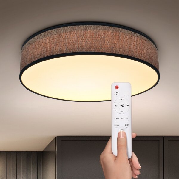 Brilagi - Lampada da soffitto dimmerabile ADELA LED/48W/230V 3000-6500K + DO